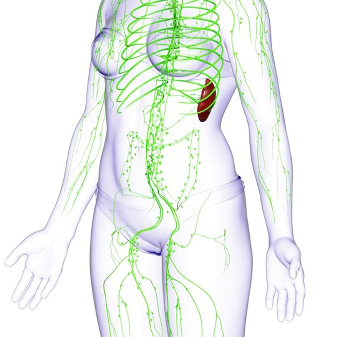 Liposana 3+ Stoffwechsel Kur: Straffung, Entgiftung, Fettabbau - Abnehmen leicht gemacht